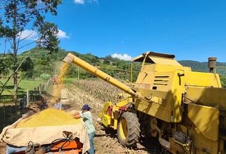 Foto de homem trabalhando na colheita de milho.