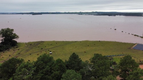 Foto de propriedade rural com área coberta por rio.