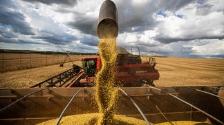 Foto de grãos de soja sendo despejados por colheitadeira em carreta graneleira.