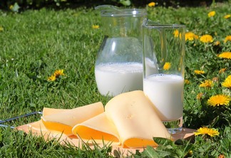Na foto há uma jarra e um copo com leite, e fatias de queijo
