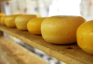 Foto de peças de queijos redondos sobre prateleira de madeira.