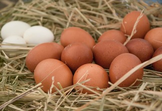 A foto mostra alguns ovos marrons e brancos sobre uma superfície com palha