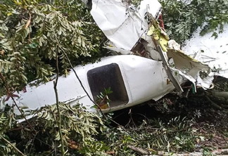 Foto de avião caído em mata.