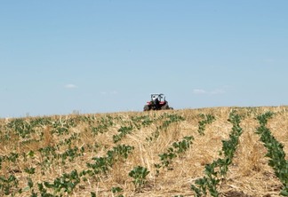 Foto de trator em meio a plantação de soja.