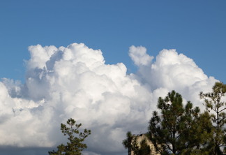 Foto de céu com nuvens. Galhos de árvores aparecem na frente das nuvens.