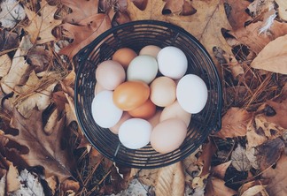 A foto mostra uma cesta de arame com ovos vermelhos e brancos dentro