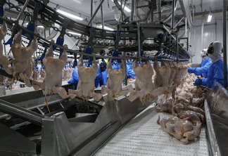 Exportações de carne de frango acumulam alta de 5,6% em 2023
