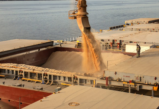 Porto espera exportar cerca de 6,6 milhões de toneladas de grãos e farelo de agora até o final do ano 