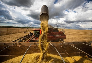 Foto de grãos de soja sendo despejados por colheitadeira em carreta graneleira.