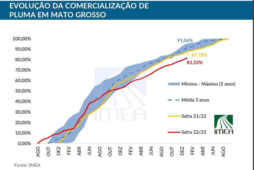 algodao 2 22 23