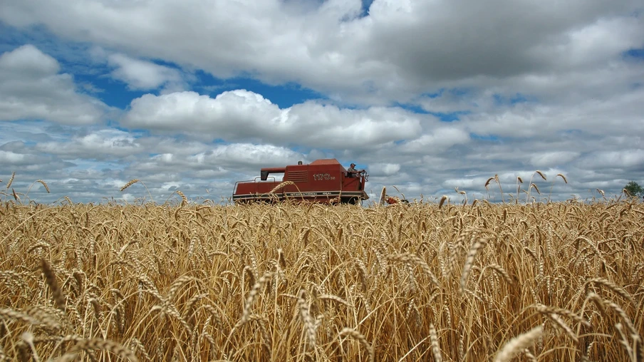 Foto de colheitadeira vermelha em meio a lavoura de trigo.