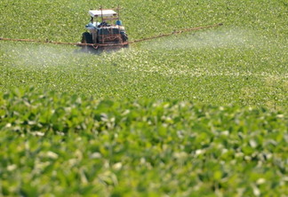 Foto: Fernando Dias/SEAPDR Foto: Fernando Dias/SEAPDR