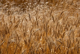 Foto: Fernando Dias/SEAPDR Foto: Fernando Dias/SEAPDR