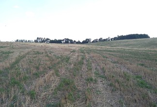 Foto de lavoura em pousio. Foto de lavoura em pousio.