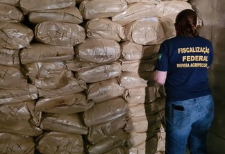 Foto de fiscal federal de costas em frente a sacas de fertilizantes/agrotóxicos.
