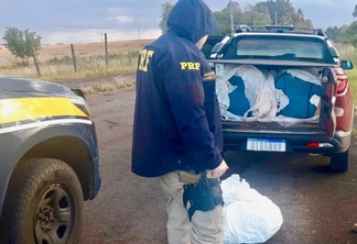 Foto de policial rodoviário federal próximo de caminhonete com sacolas e embalagens de agrotóxicos.