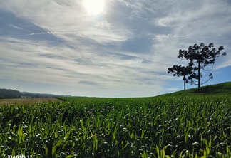 Foto de Anderson Menegaz  Foto de Anderson Menegaz