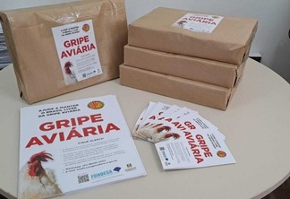 folhetos gripe aviária folhetos gripe aviária
