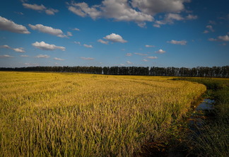 Foto: Confederação da Agricultura e Pecuária do Brasil Foto: Confederação da Agricultura e Pecuária do Brasil