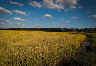 Foto: Confederação da Agricultura e Pecuária do Brasil