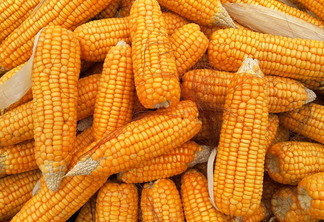 Conab reúne agentes do setor agrícola para avaliar custos de produção Conab reúne agentes do setor agrícola para avaliar custos de produção