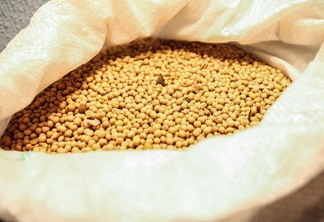 EUA: soja e milho em alta impulsionada por biocombustíveis