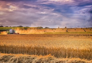 Tempo aberto no Rio Grande do Sul favorece a colheita do trigo, aponta Santos