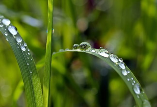 Tendência de chuvas mais regulares no Brasil, aponta Santos Tendência de chuvas mais regulares no Brasil, aponta Santos