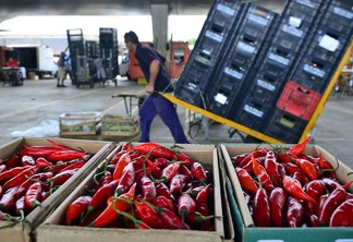Foto de pimentões vermelhos em caixas. No fundo, um homem carrega caixotes de plástico. Foto de pimentões vermelhos em caixas. No fundo, um homem carrega caixotes de plástico.