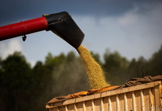 Foto de colheitadeira despejando grãos de soja.