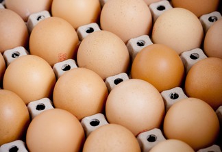Foto de ovos dentro de caixa.