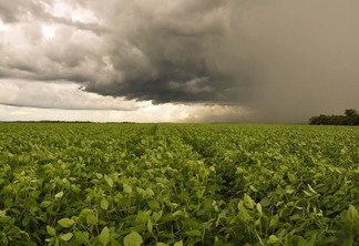 Foto de céu nublado sobre plantação. Foto de céu nublado sobre plantação.