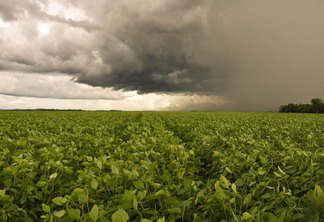 Foto de céu nublado sobre plantação.