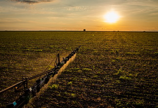 Foto de máquina agrícola aplicando herbicida/fertilizante em lavoura. Foto de máquina agrícola aplicando herbicida/fertilizante em lavoura.