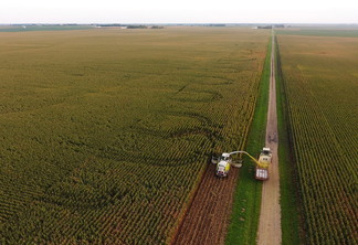 Ação impedirá contratação de terceiros para exercer atividades de auditores agropecuários em Santa Catarina Ação impedirá contratação de terceiros para exercer atividades de auditores agropecuários em Santa Catarina
