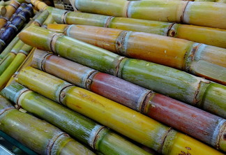 geadas em algumas áreas de produção impactaram na produtividade das lavouras. geadas em algumas áreas de produção impactaram na produtividade das lavouras.