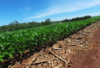 Conservação de solo nas propriedades rurais do PR | Foto: Joseani Antunes/Embrapa Conservação de solo nas propriedades rurais do PR | Foto: Joseani Antunes/Embrapa