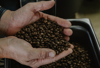 A foto mostra duas mãos segurando grãos de café