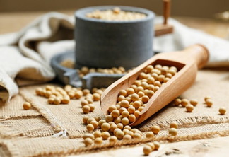 A foto mostra grãos de soja e alguns utensílios sobre uma mesa A foto mostra grãos de soja e alguns utensílios sobre uma mesa