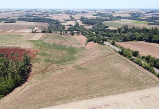 Imagem aérea de plantações de soja. de plantações de soja.