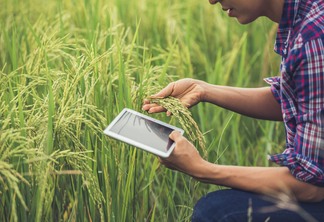 Foto de homem em meio a plantação segurando tablet e planta. Foto de homem em meio a plantação segurando tablet e planta.