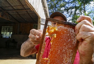 A atividade é considerada importante na geração de emprego e renda | Gilson Abreu/AEN A atividade é considerada importante na geração de emprego e renda | Gilson Abreu/AEN