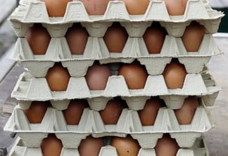 A foto mostra bandejas de papelão com ovos vermelhos