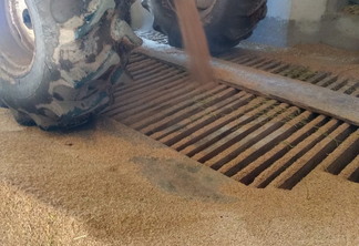 A foto mostra arroz sendo despejado