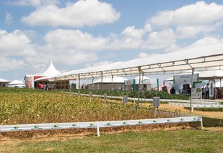 Foto de vitrine tecnológica. Foto de vitrine tecnológica.