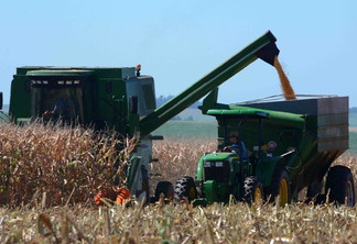 Foto de colheita em lavoura de milho. Foto de colheita em lavoura de milho.