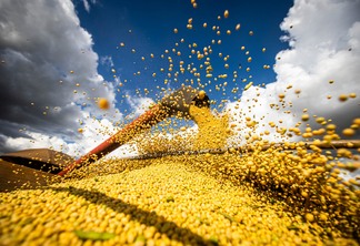 A possibilidade de a Rússia permitir o escoamento da produção de trigo, milho e do óleo de girassol da Ucrânia impacta diretamente no mercado. | Foto: Wenderson Araujo/Trilux