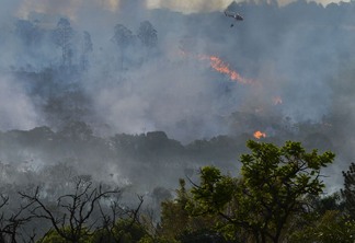 Foto de incêndio em floresta. Foto de incêndio em floresta.