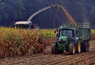 A foto mostra uma colhedora e um caminhão, efetuando a colheita de milho