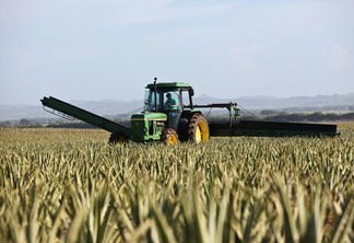 Foto de máquina agrícola em lavoura.